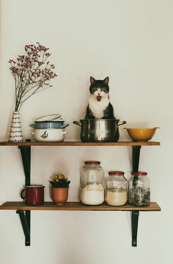 皮蛋黃兒的個(gè)人主頁（背景預(yù)覽） - 主頁背景設(shè)置 - 站酷設(shè)計(jì)師皮蛋黃兒原創(chuàng)素材 - 站酷ZCOOL