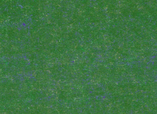 路貝福福的個人主頁（背景預覽） - 主頁背景設置 - 站酷設計師路貝福福原創(chuàng)素材 - 站酷ZCOOL