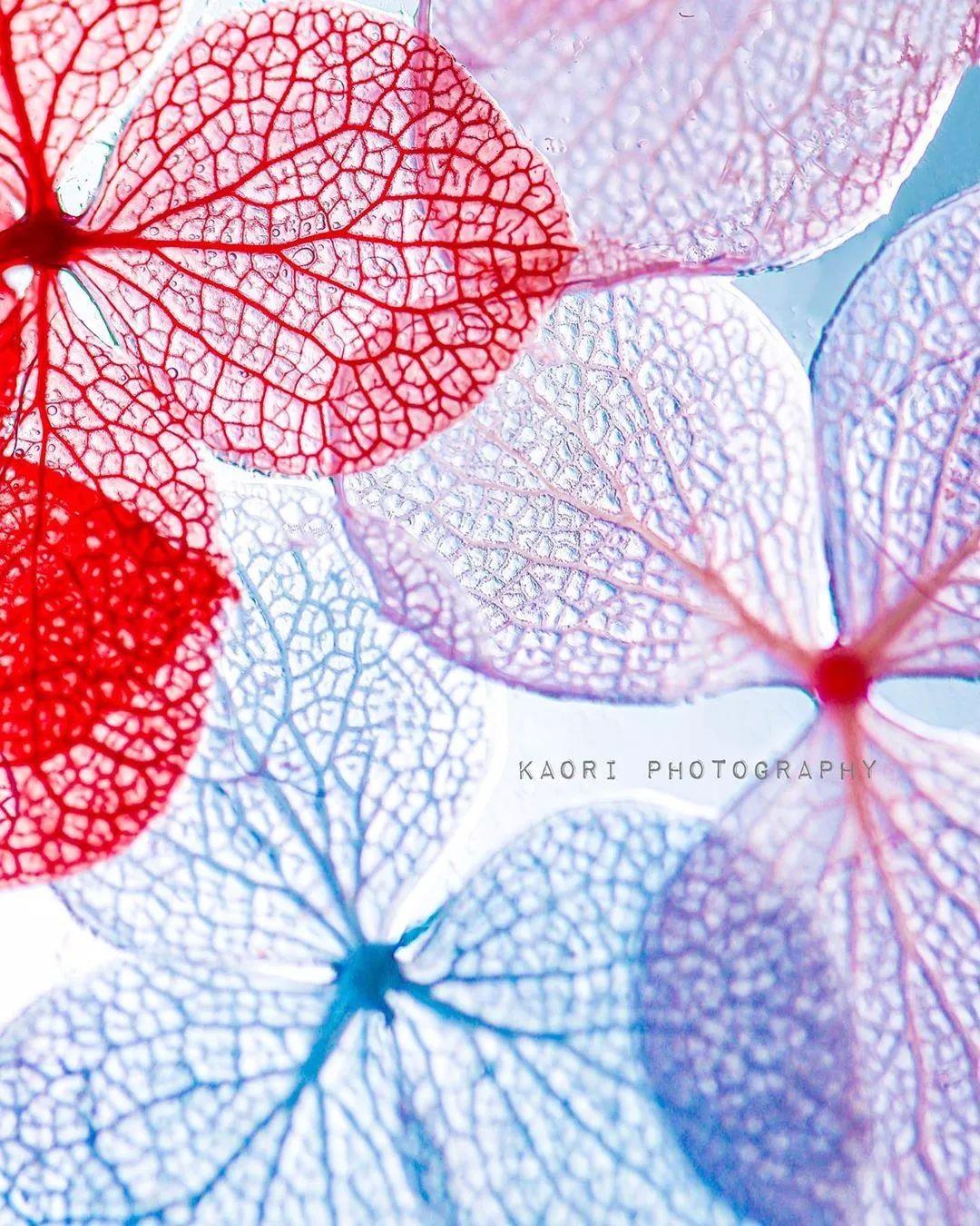 Sshiyi的個人主頁（背景預覽） - 主頁背景設(shè)置 - 站酷設(shè)計師Sshiyi原創(chuàng)素材 - 站酷ZCOOL