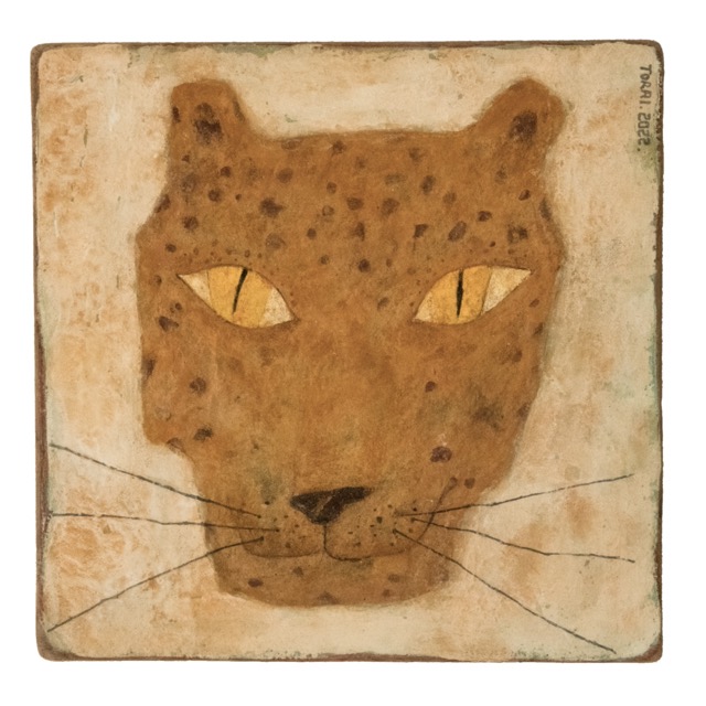 靳兆心_TORRI的个人主页（背景预览） - 主页背景设置 - 站酷设计师靳兆心_TORRI原创素材 - 站酷ZCOOL