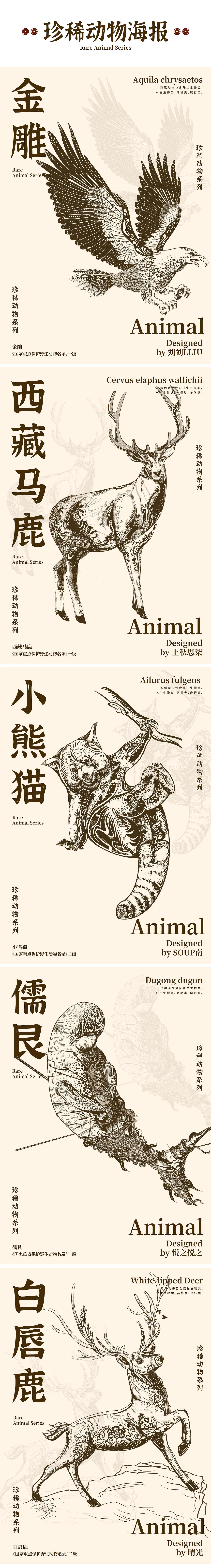 【珍稀保护动物】与自然和谐相处|国潮插画系列合集