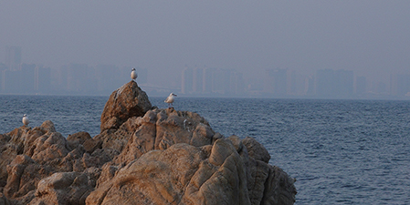 花花12的個人主頁（背景預(yù)覽） - 主頁背景設(shè)置 - 站酷設(shè)計(jì)師花花12原創(chuàng)素材 - 站酷ZCOOL