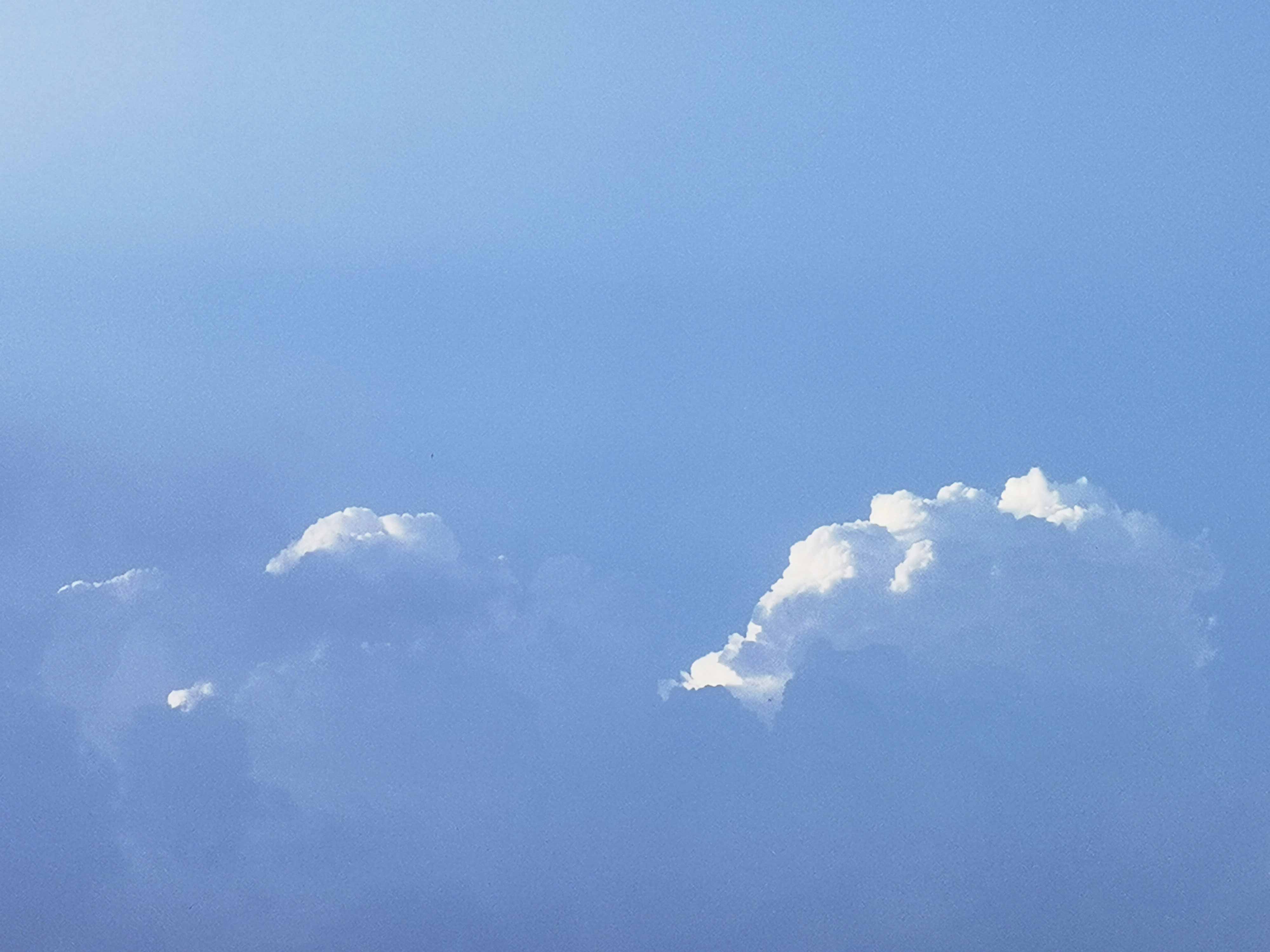 神采飞扬liu的个人主页（背景预览） - 主页背景设置 - 站酷设计师神采飞扬liu原创素材 - 站酷ZCOOL