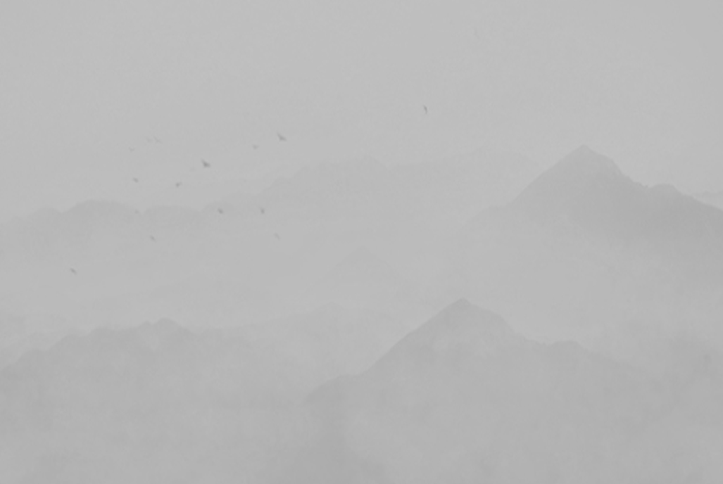 a2995710的个人主页（背景预览） - 主页背景设置 - 站酷设计师a2995710原创素材 - 站酷ZCOOL