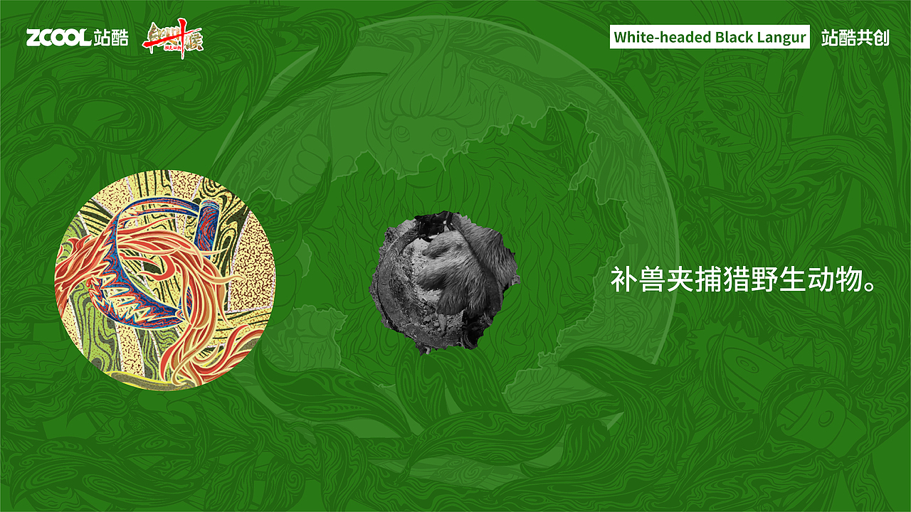 白头叶猴——插画设计