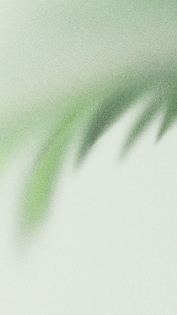 西什么柚的个人主页（背景预览） - 主页背景设置 - 站酷设计师西什么柚原创素材 - 站酷ZCOOL