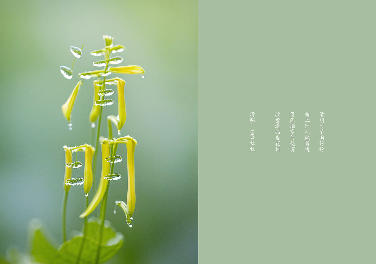 WHEE看诗人的世界（图ZMzY1NDA5MTY0） - AI作品 - 站酷设计师七月熙视觉原创素材 - 站酷ZCOOL