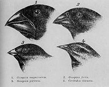 李檐生的個人主頁（背景預覽） - 主頁背景設(shè)置 - 站酷設(shè)計師李檐生原創(chuàng)素材 - 站酷ZCOOL