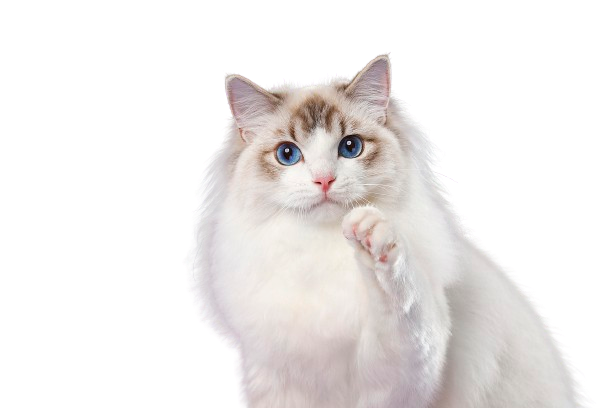 等下個冬天Xty的個人主頁（背景預(yù)覽） - 主頁背景設(shè)置 - 站酷設(shè)計師等下個冬天Xty原創(chuàng)素材 - 站酷ZCOOL