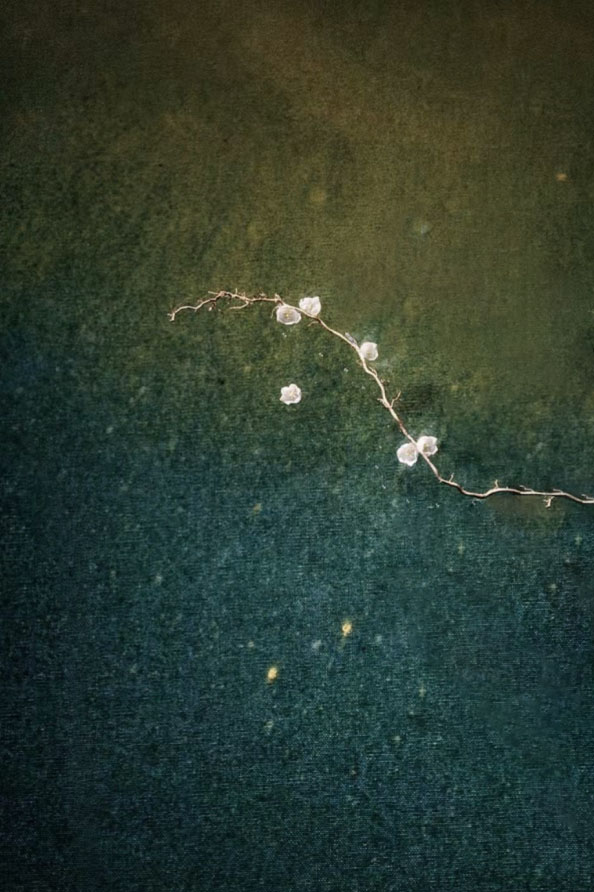 榴蓮有點(diǎn)甜的個人主頁（背景預(yù)覽） - 主頁背景設(shè)置 - 站酷設(shè)計師榴蓮有點(diǎn)甜原創(chuàng)素材 - 站酷ZCOOL