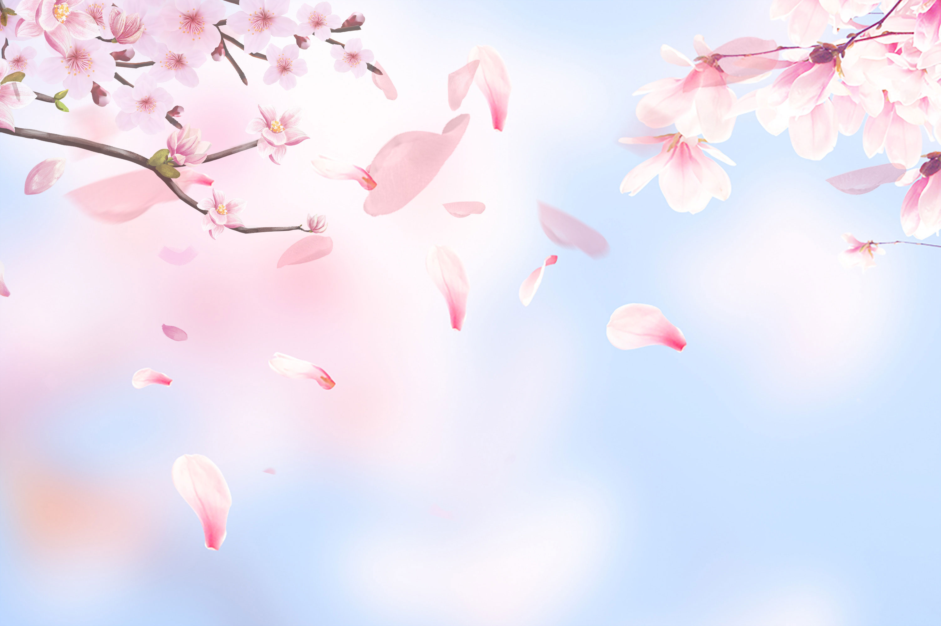 请叫我大吉的个人主页（背景预览） - 主页背景设置 - 站酷设计师请叫我大吉原创素材 - 站酷ZCOOL