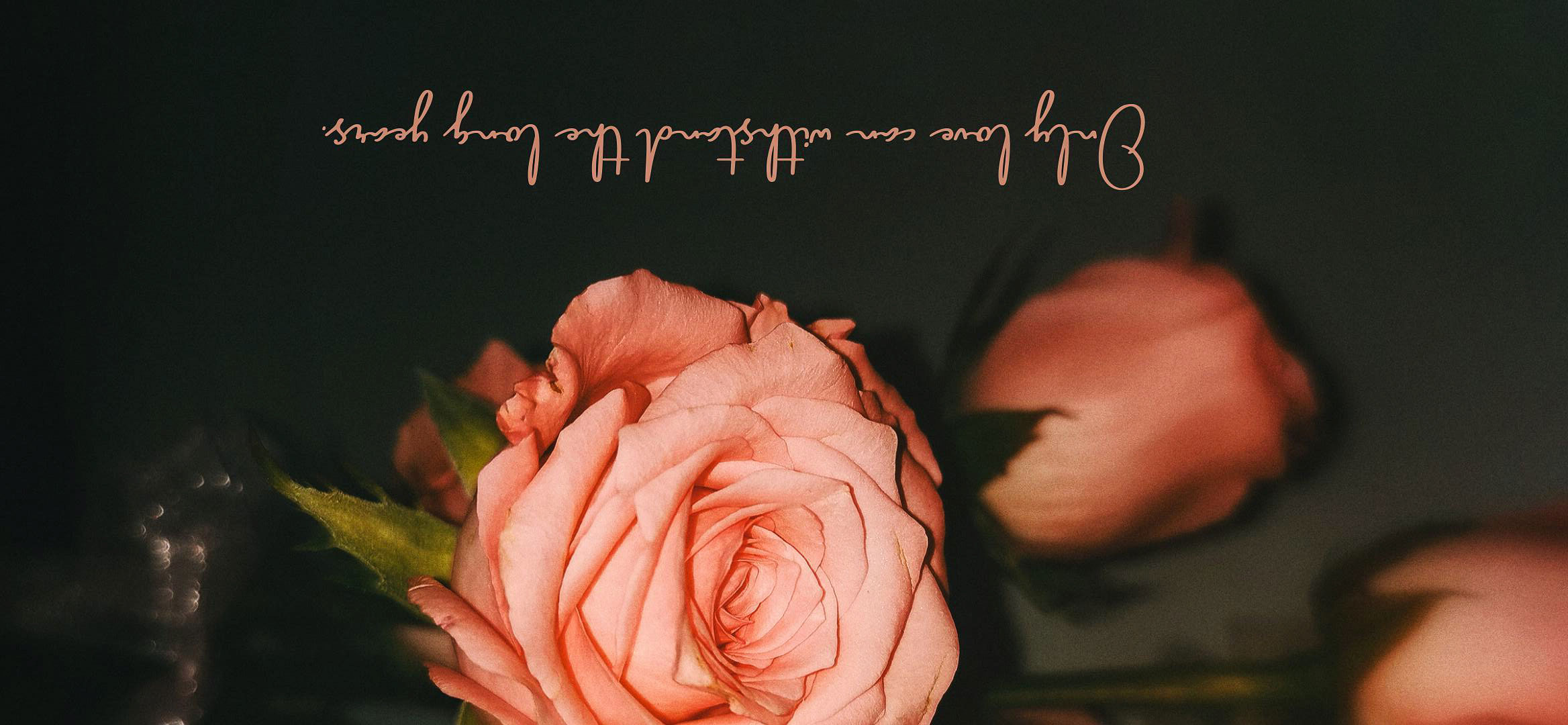 JIAN姜姜的個(gè)人主頁（背景預(yù)覽） - 主頁背景設(shè)置 - 站酷設(shè)計(jì)師JIAN姜姜原創(chuàng)素材 - 站酷ZCOOL