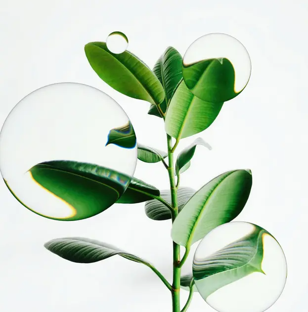 蛋黄酱薯条的个人主页（背景预览） - 主页背景设置 - 站酷设计师蛋黄酱薯条原创素材 - 站酷ZCOOL