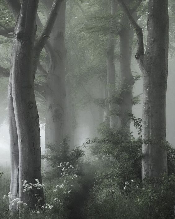 头罐奶牛的个人主页（背景预览） - 主页背景设置 - 站酷设计师头罐奶牛原创素材 - 站酷ZCOOL