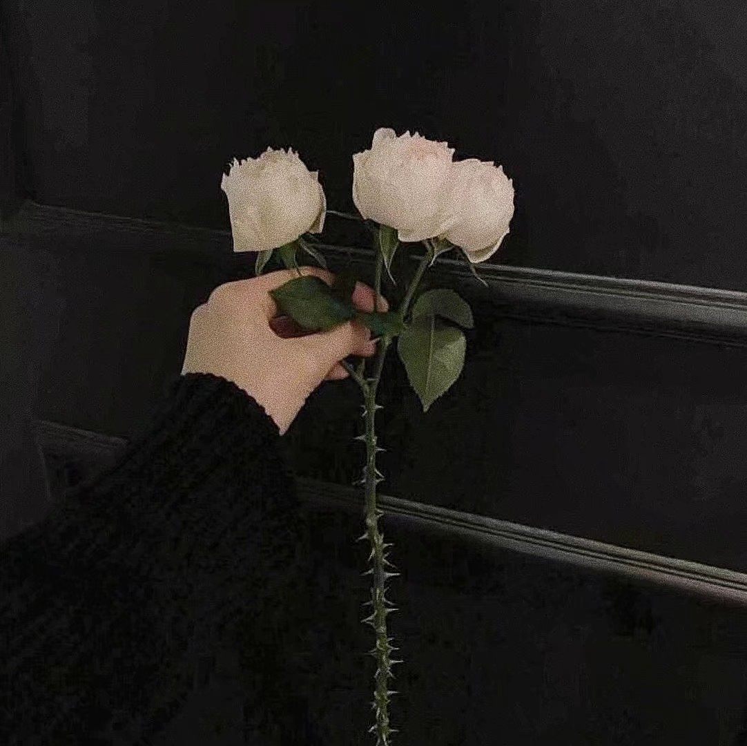 Shiver依的個(gè)人主頁（背景預(yù)覽） - 主頁背景設(shè)置 - 站酷設(shè)計(jì)師Shiver依原創(chuàng)素材 - 站酷ZCOOL