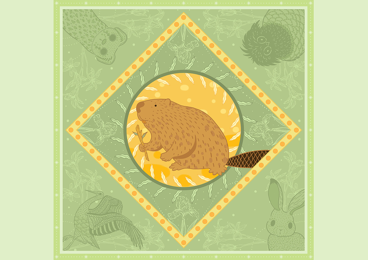 【珍稀动物100】蒙新河狸插画·文创延展