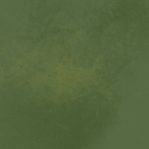 茲有點(diǎn)的個(gè)人主頁（背景預(yù)覽） - 主頁背景設(shè)置 - 站酷設(shè)計(jì)師茲有點(diǎn)原創(chuàng)素材 - 站酷ZCOOL