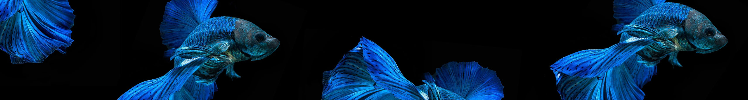 克止的个人主页（背景预览） - 主页背景设置 - 站酷设计师克止原创素材 - 站酷ZCOOL