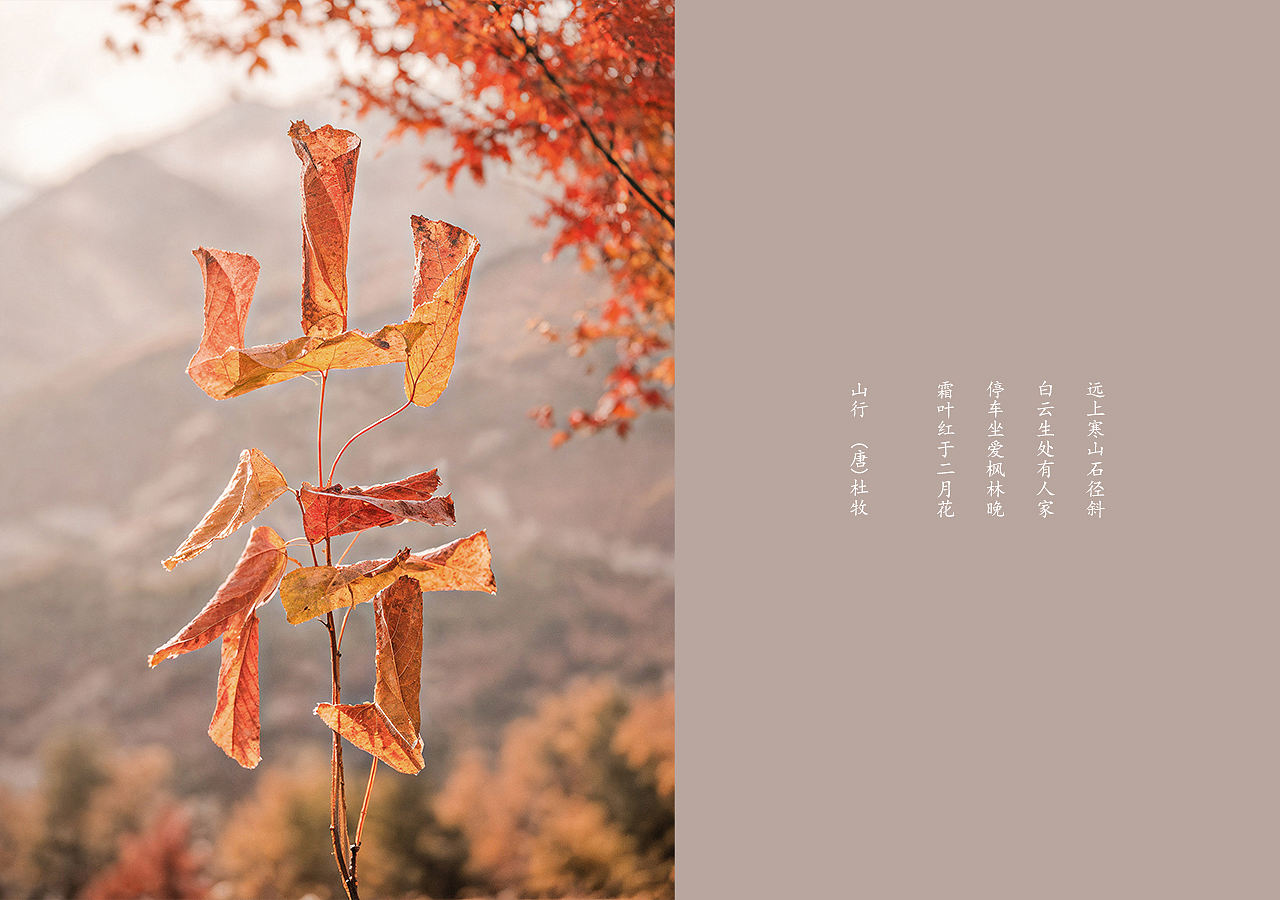 WHEE看诗人的世界（图ZMzY1NDA5MTc2） - AI作品 - 站酷设计师七月熙视觉原创素材 - 站酷ZCOOL