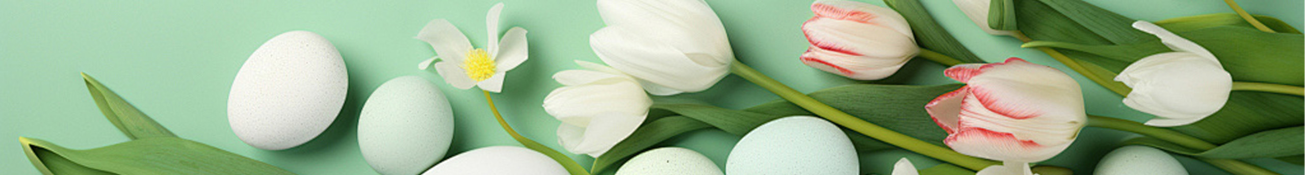 姓白的个人主页（背景预览） - 主页背景设置 - 站酷设计师姓白原创素材 - 站酷ZCOOL