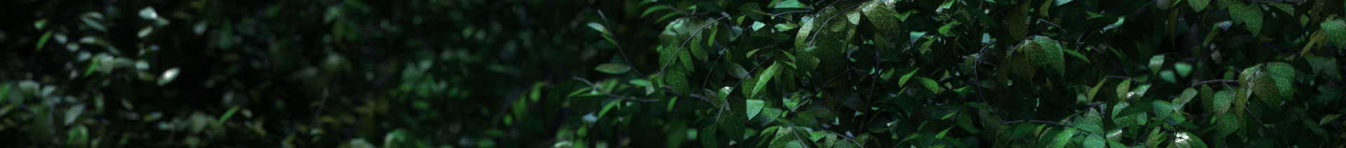 小张张儿的个人主页（背景预览） - 主页背景设置 - 站酷设计师小张张儿原创素材 - 站酷ZCOOL