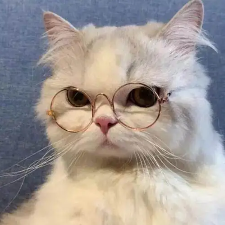 Summy的小太阳的个人主页（背景预览） - 主页背景设置 - 站酷设计师Summy的小太阳原创素材 - 站酷ZCOOL