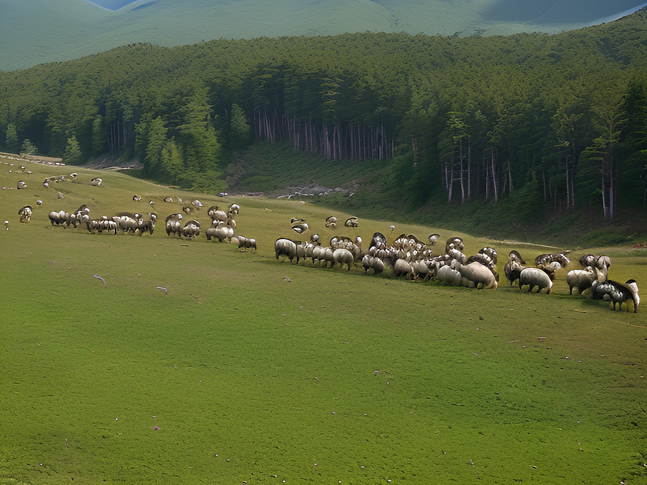 AI 人工智能生成 长白山地方特色 顶流动物园里的动物形象插画与故事分享（图ZMzcwNTUzNDQ4） - 海报 - 站酷设计师未来之王原创素材 - 站酷ZCOOL