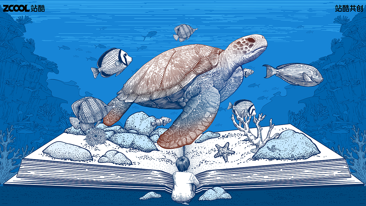 海洋——玳瑁