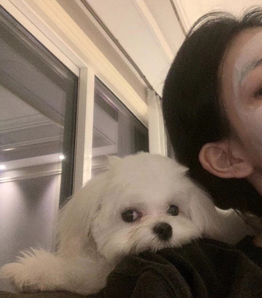 壯士你的奶瓶掉了的個人主頁（背景預(yù)覽） - 主頁背景設(shè)置 - 站酷設(shè)計(jì)師壯士你的奶瓶掉了原創(chuàng)素材 - 站酷ZCOOL