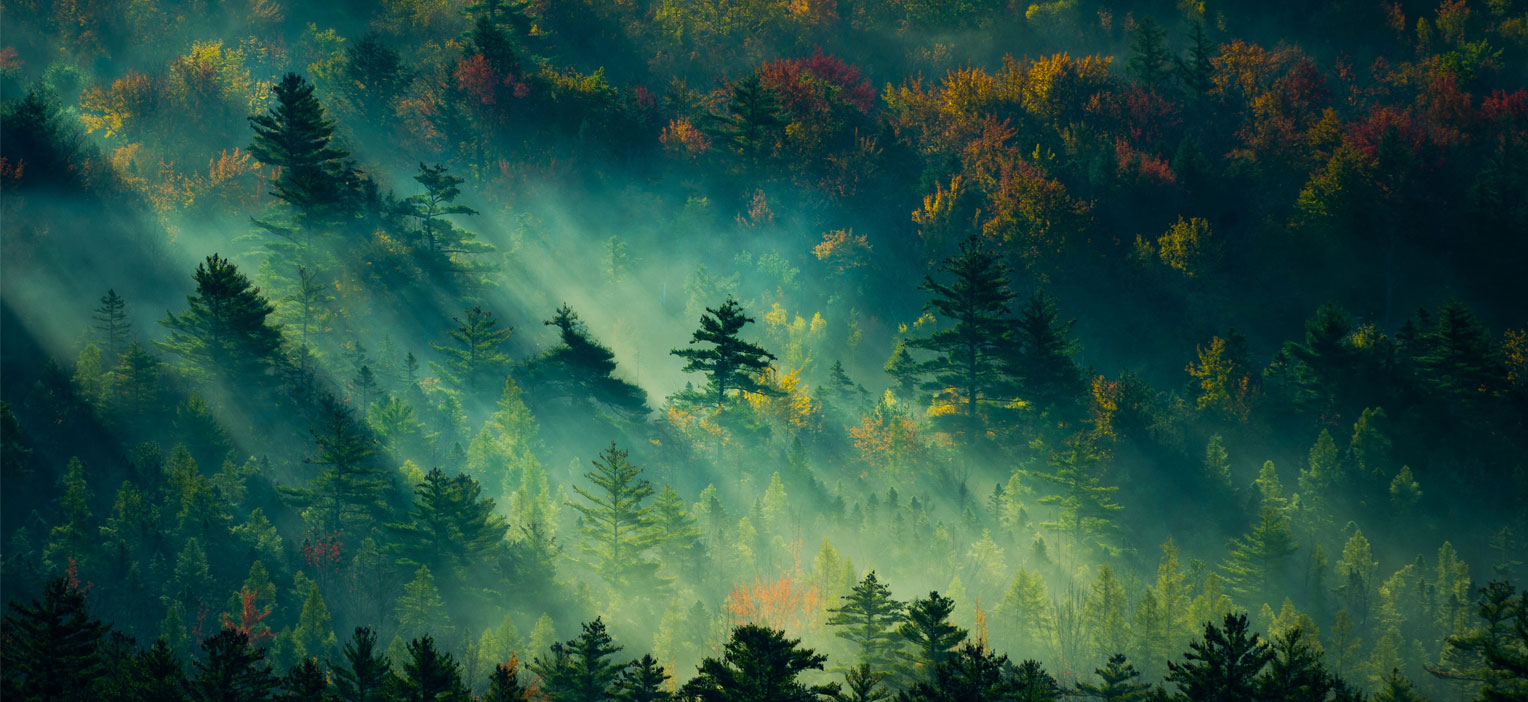 兴兴知和的个人主页（背景预览） - 主页背景设置 - 站酷设计师兴兴知和原创素材 - 站酷ZCOOL