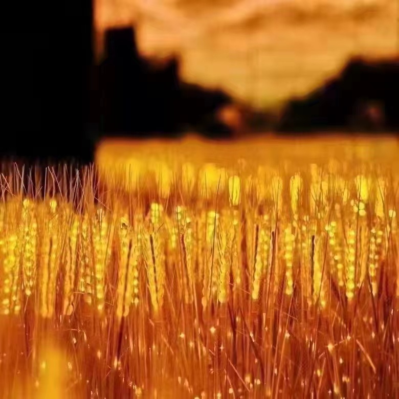 Z99280851的個(gè)人主頁（背景預(yù)覽） - 主頁背景設(shè)置 - 站酷設(shè)計(jì)師Z99280851原創(chuàng)素材 - 站酷ZCOOL