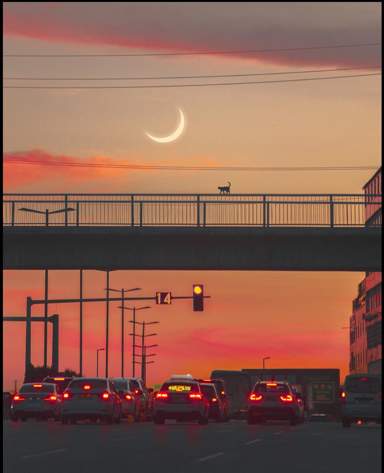 青菜o的個(gè)人主頁(yè)（背景預(yù)覽） - 主頁(yè)背景設(shè)置 - 站酷設(shè)計(jì)師青菜o原創(chuàng)素材 - 站酷ZCOOL