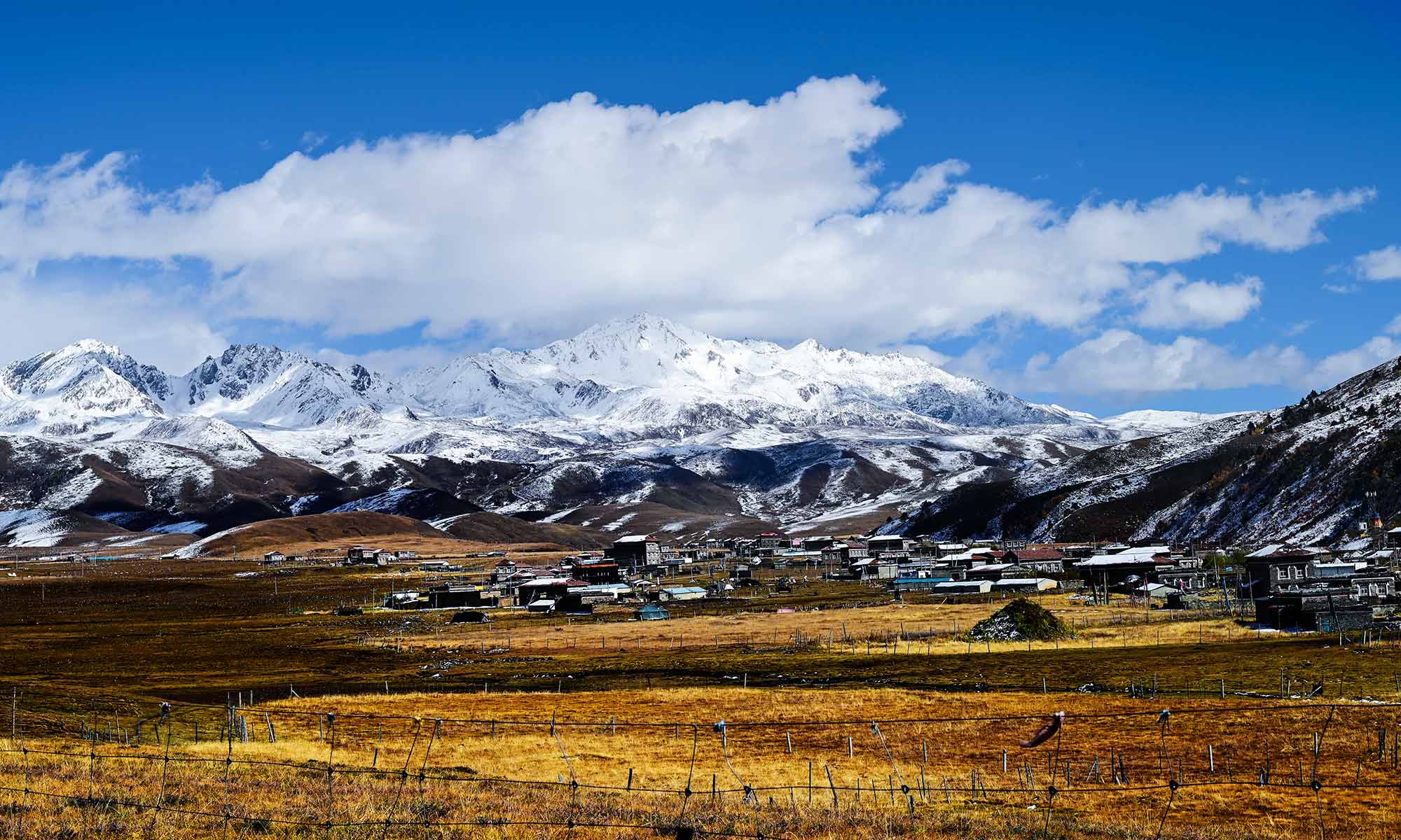 檸檬辣椒的個(gè)人主頁（背景預(yù)覽） - 主頁背景設(shè)置 - 站酷設(shè)計(jì)師檸檬辣椒原創(chuàng)素材 - 站酷ZCOOL
