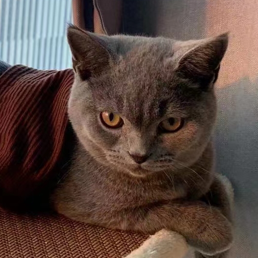 短腿的不高興的個(gè)人主頁(yè)（背景預(yù)覽） - 主頁(yè)背景設(shè)置 - 站酷設(shè)計(jì)師短腿的不高興原創(chuàng)素材 - 站酷ZCOOL