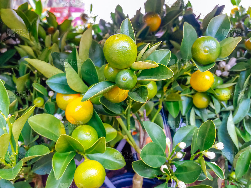 行走的蝸牛_a5的個人主頁（背景預覽） - 主頁背景設置 - 站酷設計師行走的蝸牛_a5原創(chuàng)素材 - 站酷ZCOOL