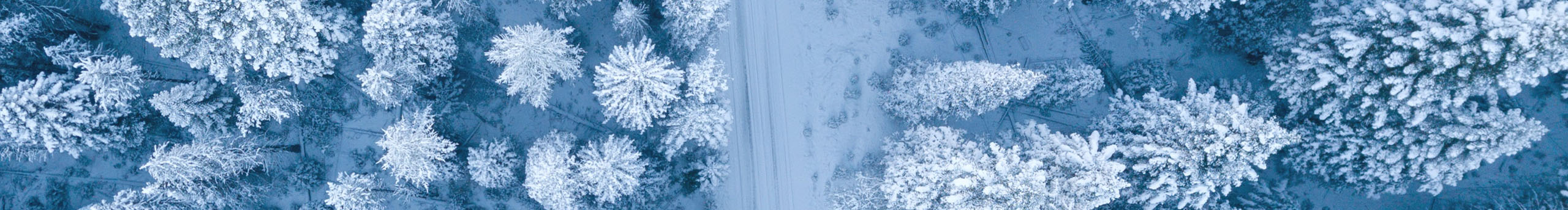 GXiaomi的個人主頁（背景預覽） - 主頁背景設置 - 站酷設計師GXiaomi原創(chuàng)素材 - 站酷ZCOOL