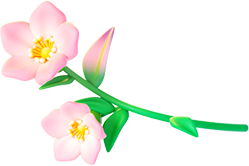 零l零l零的個(gè)人主頁(yè)（背景預(yù)覽） - 主頁(yè)背景設(shè)置 - 站酷設(shè)計(jì)師零l零l零原創(chuàng)素材 - 站酷ZCOOL