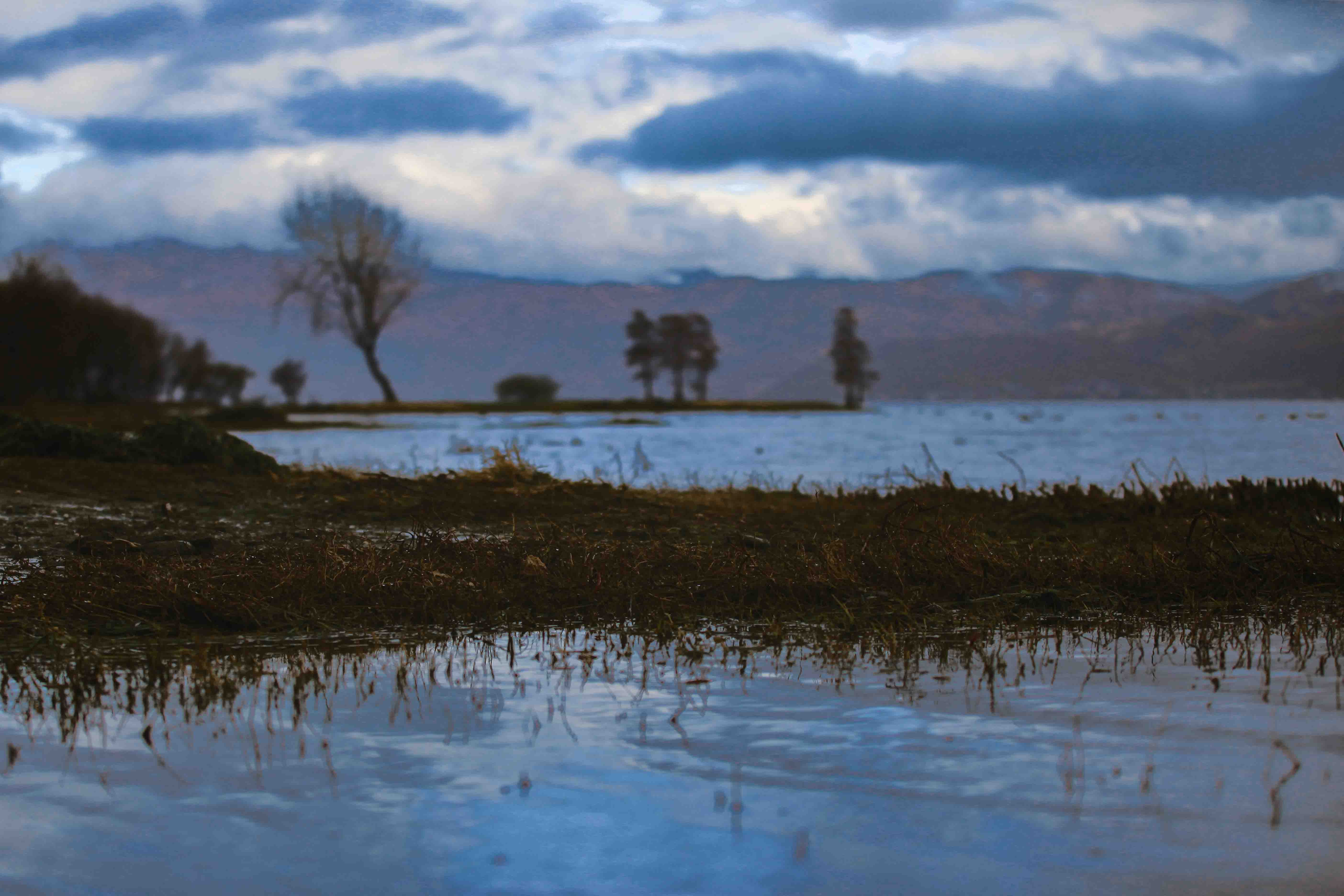 飞蜗STUDIO的个人主页（背景预览） - 主页背景设置 - 站酷设计师飞蜗STUDIO原创素材 - 站酷ZCOOL