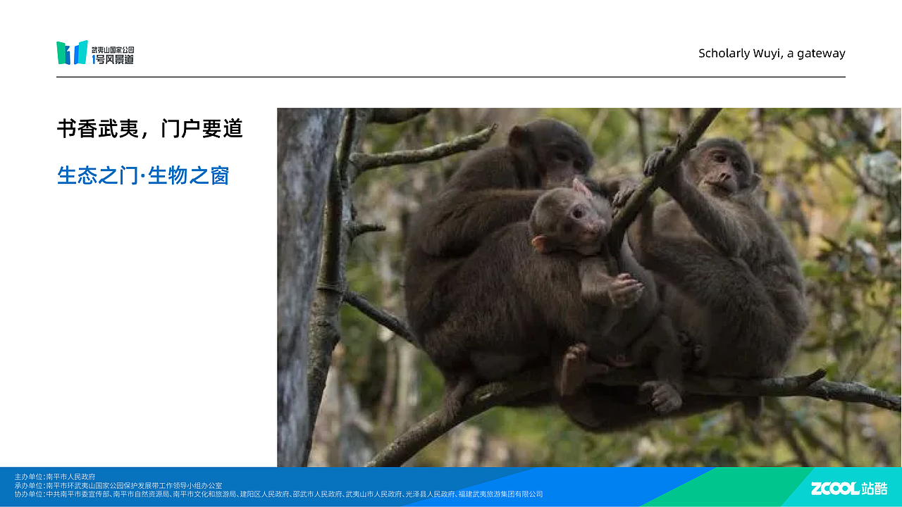 标志设计｜武夷山国家公园1号风景道（图ZMzQ5OTI5OTEy） - Logo - 站酷设计师张张张r原创素材 - 站酷ZCOOL