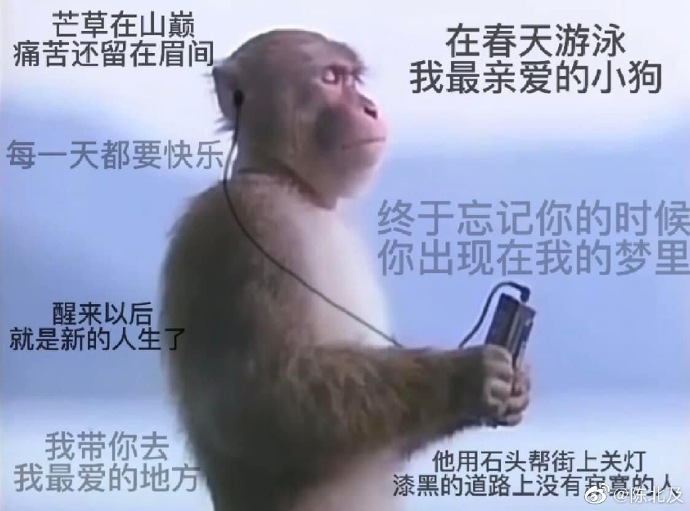 花杉的個(gè)人主頁(yè)（背景預(yù)覽） - 主頁(yè)背景設(shè)置 - 站酷設(shè)計(jì)師花杉原創(chuàng)素材 - 站酷ZCOOL