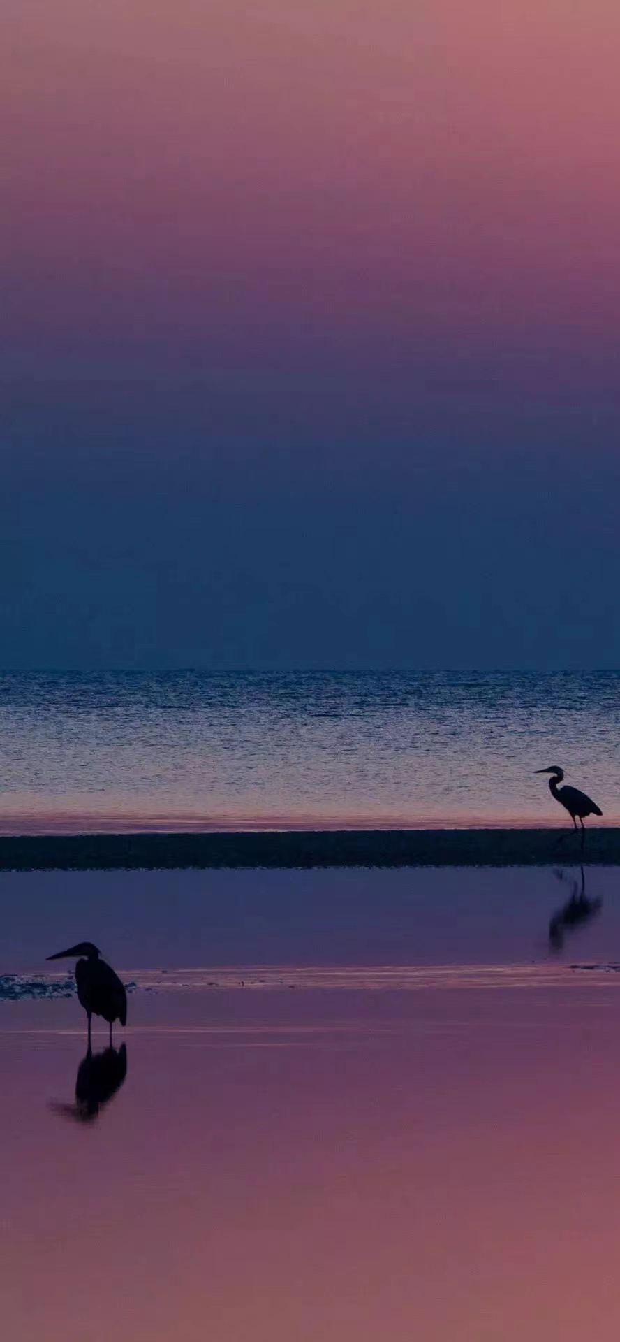 啊揚(yáng)不可以吃糖的個(gè)人主頁(yè)（背景預(yù)覽） - 主頁(yè)背景設(shè)置 - 站酷設(shè)計(jì)師啊揚(yáng)不可以吃糖原創(chuàng)素材 - 站酷ZCOOL