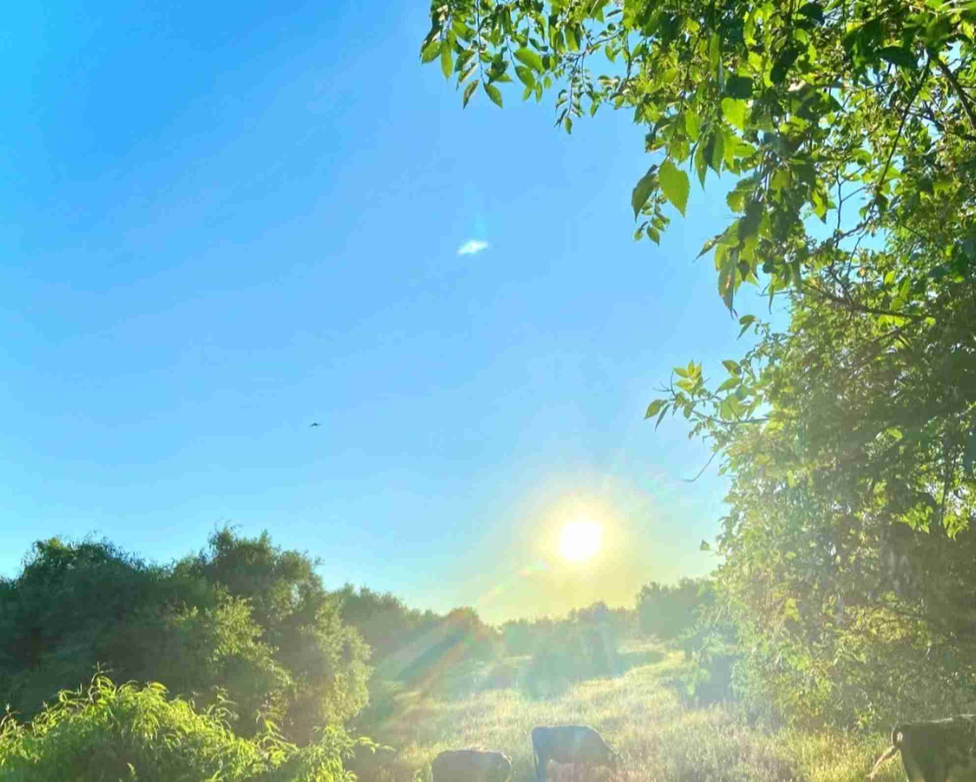 牛马不是马的个人主页（背景预览） - 主页背景设置 - 站酷设计师牛马不是马原创素材 - 站酷ZCOOL