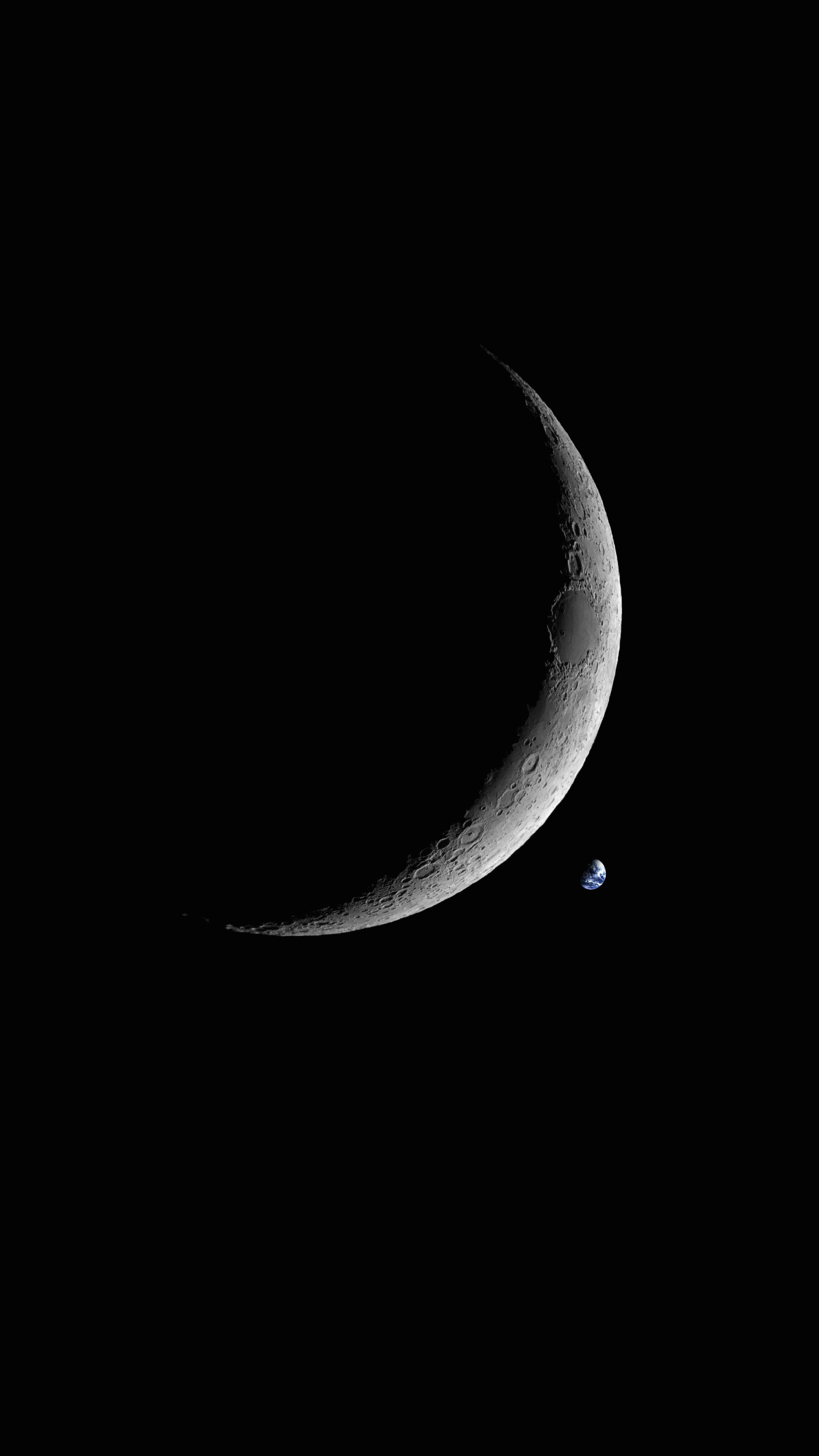 月影樹海的個人主頁（背景預(yù)覽） - 主頁背景設(shè)置 - 站酷設(shè)計師月影樹海原創(chuàng)素材 - 站酷ZCOOL