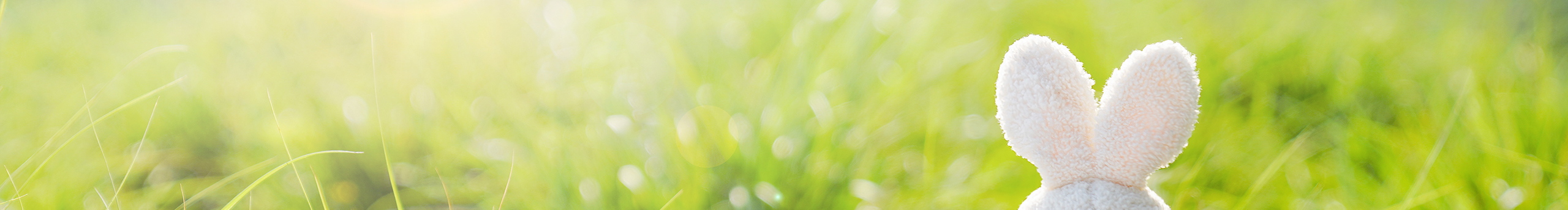 男儿当当当的个人主页（背景预览） - 主页背景设置 - 站酷设计师男儿当当当原创素材 - 站酷ZCOOL