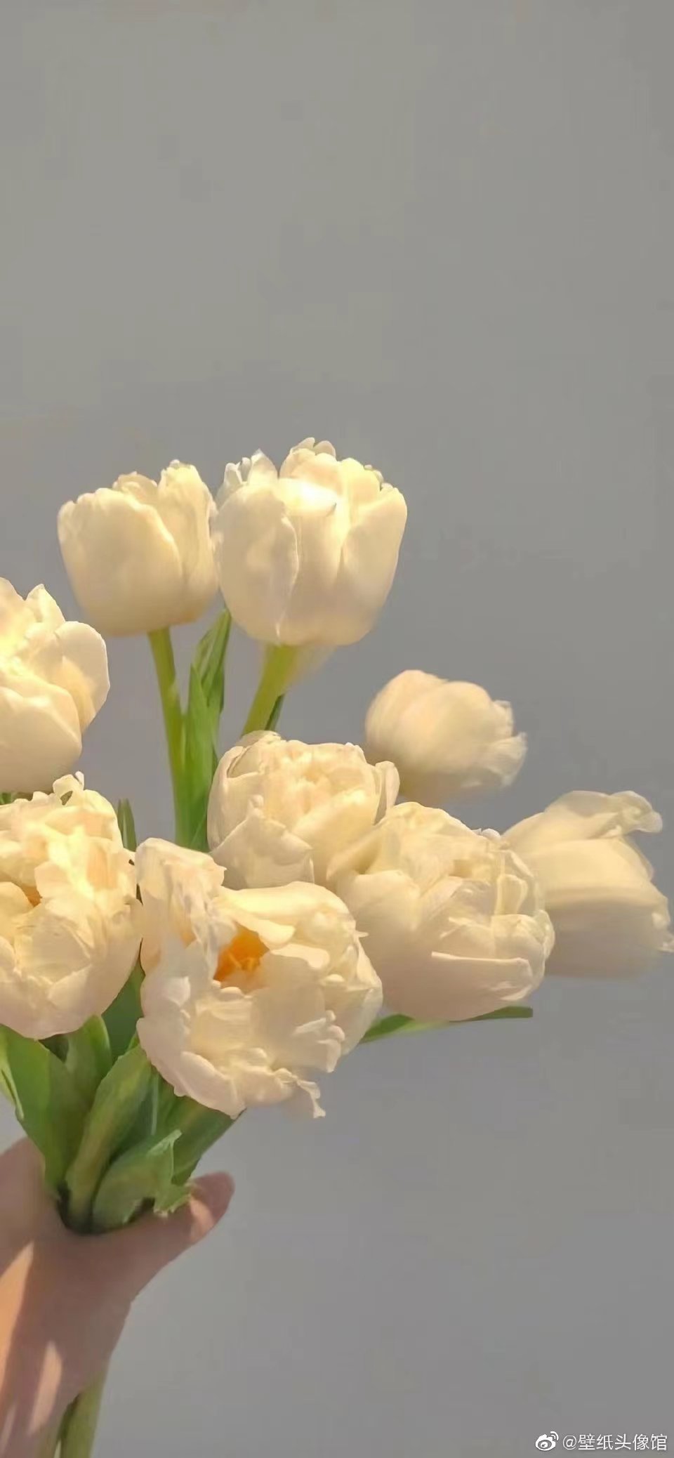 小熊想有马甲线的个人主页（背景预览） - 主页背景设置 - 站酷设计师小熊想有马甲线原创素材 - 站酷ZCOOL