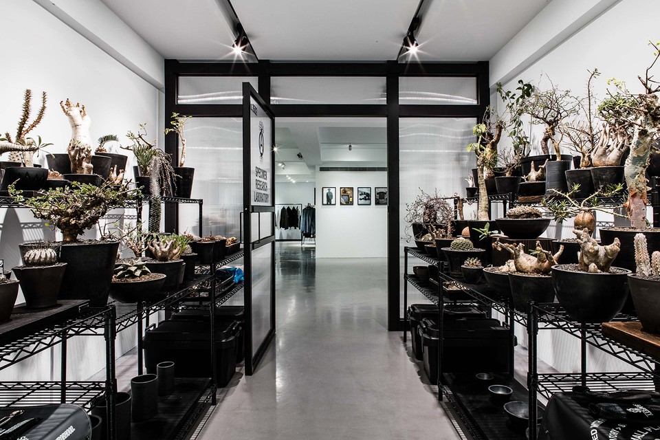 大雍宝殿的个人主页（背景预览） - 主页背景设置 - 站酷设计师大雍宝殿原创素材 - 站酷ZCOOL