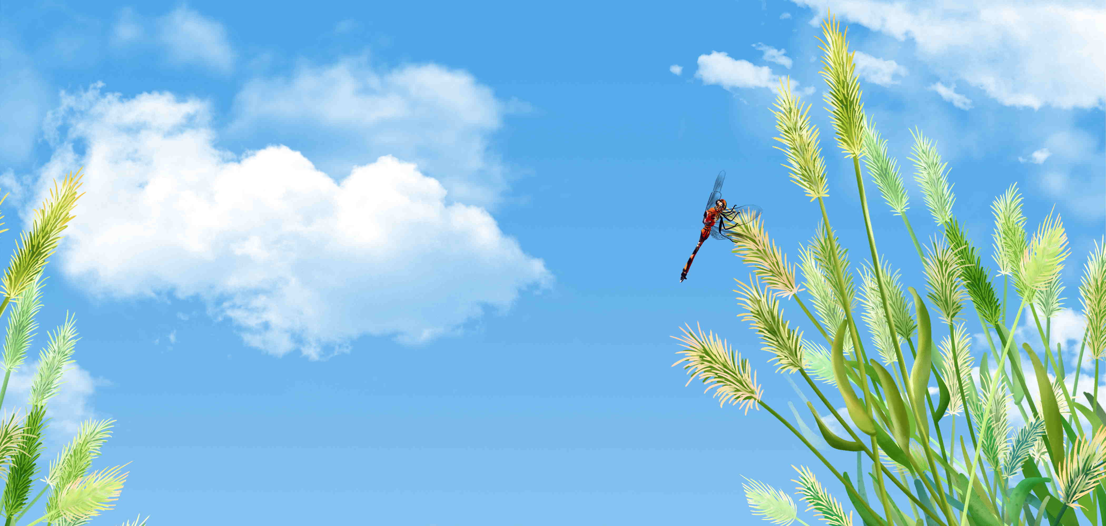 慢慢摳圖的個(gè)人主頁（背景預(yù)覽） - 主頁背景設(shè)置 - 站酷設(shè)計(jì)師慢慢摳圖原創(chuàng)素材 - 站酷ZCOOL