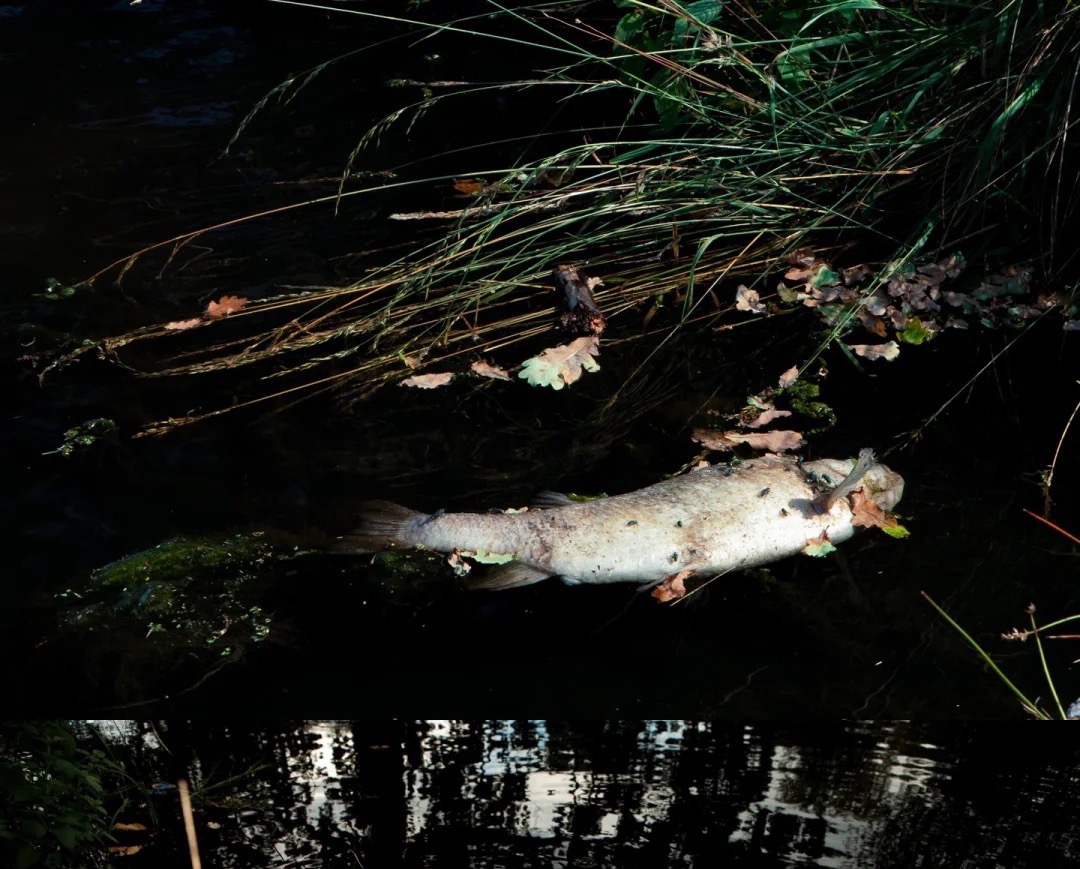 x0421的个人主页（背景预览） - 主页背景设置 - 站酷设计师x0421原创素材 - 站酷ZCOOL