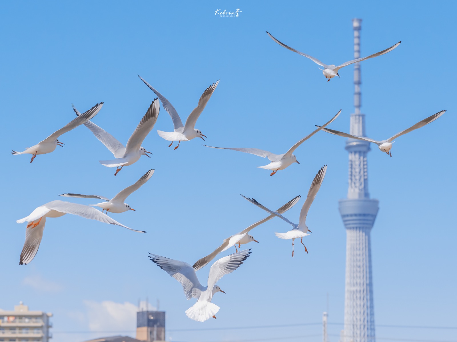 Abandonedland的个人主页（背景预览） - 主页背景设置 - 站酷设计师Abandonedland原创素材 - 站酷ZCOOL