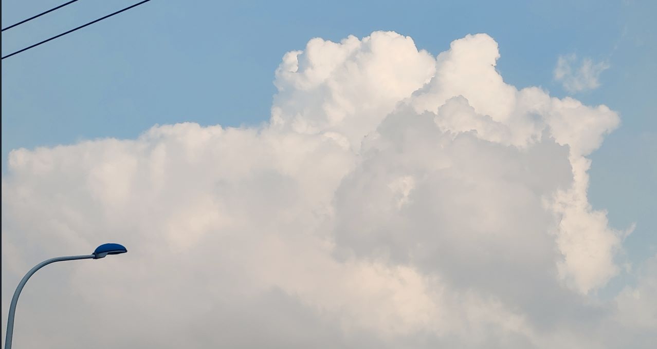 摇摆龙的个人主页（背景预览） - 主页背景设置 - 站酷设计师摇摆龙原创素材 - 站酷ZCOOL